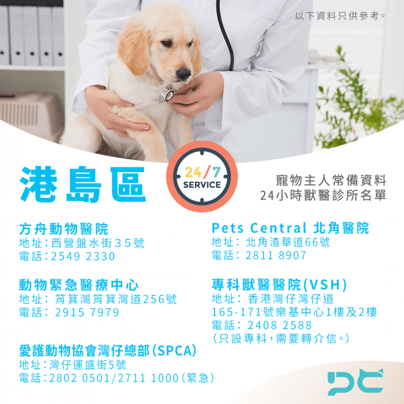 香港 24小時獸醫診所名單 港島區